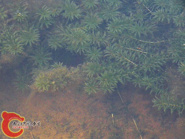 10DSCN2086.JPG