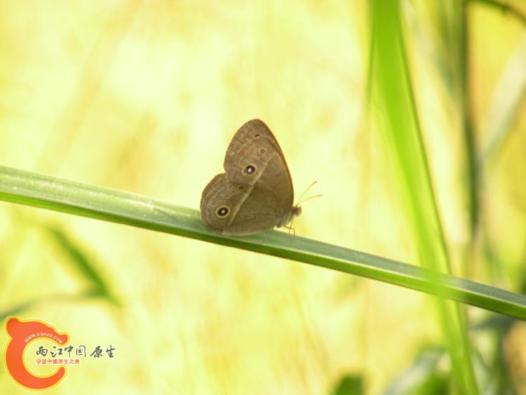10DSCN2098.JPG