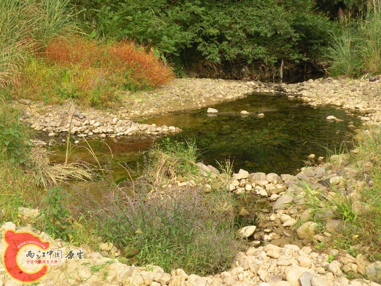10DSCN2170.JPG