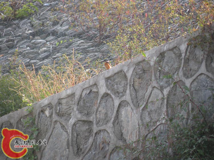 10DSCN2134.JPG