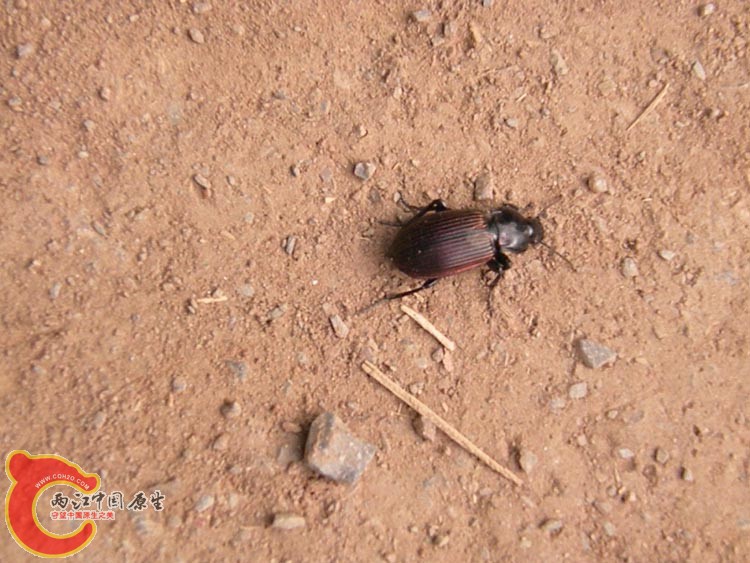 10DSCN2152.JPG