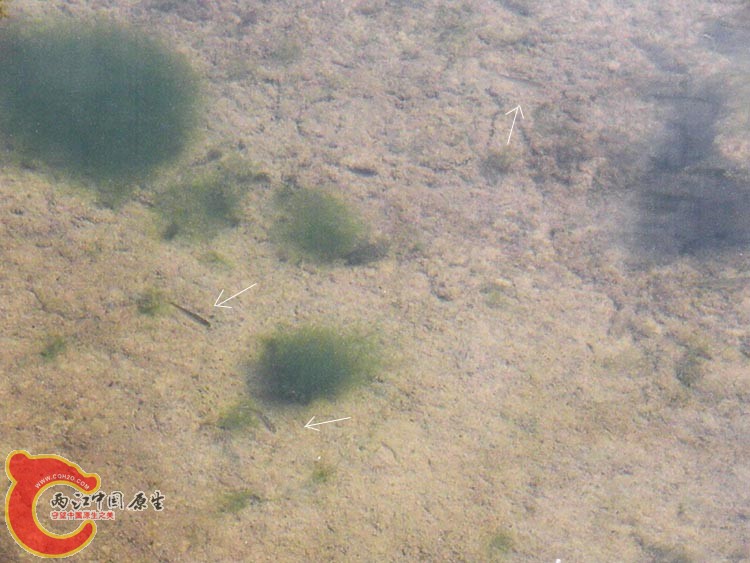 10DSCN2172.JPG