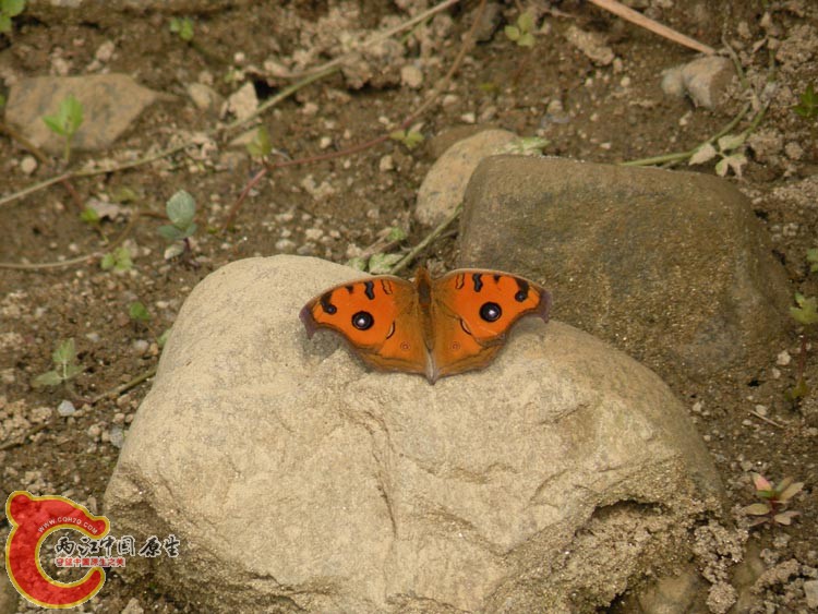 10DSCN2179.JPG