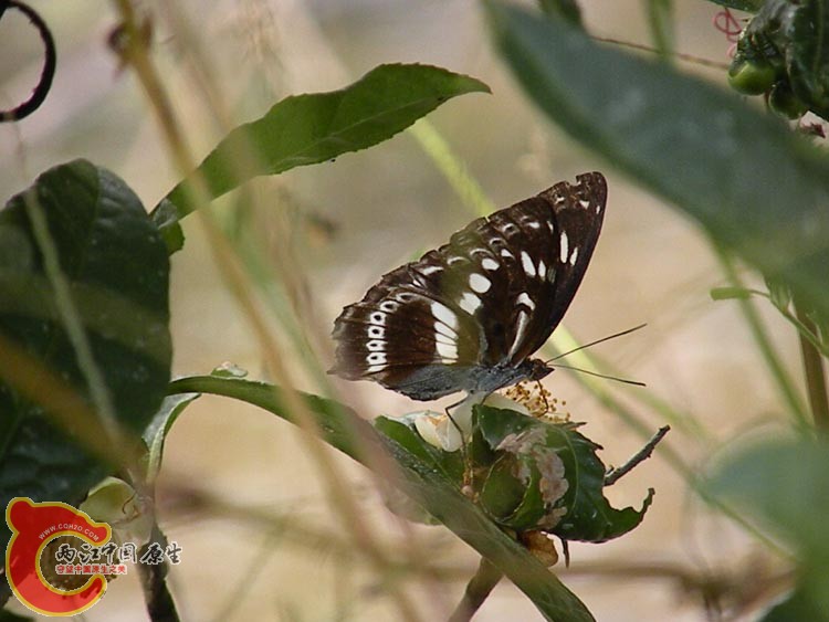 10DSCN2213.JPG