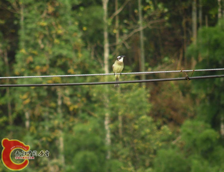 10DSCN2257.JPG
