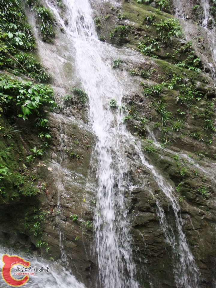 large_avYZ_7b6d0002e4fd125c.jpg