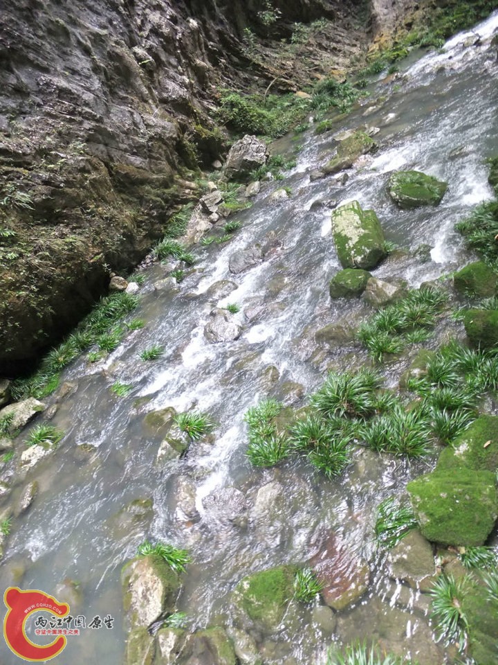 large_xQ8a_4c7000048ceb118e.jpg