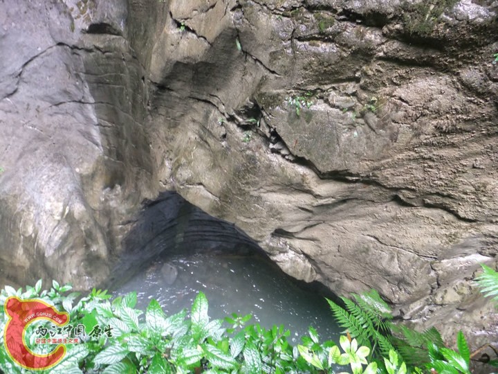 large_v6qK_6c9800048ed8125e.jpg