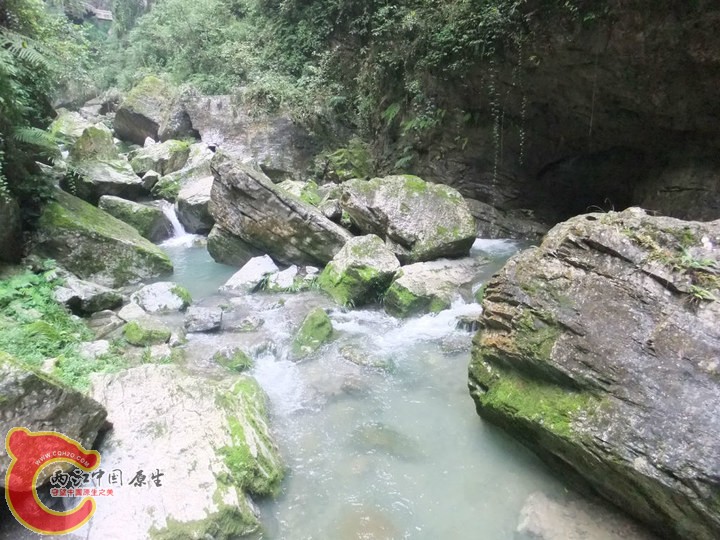large_u0pE_741200001965125c.jpg