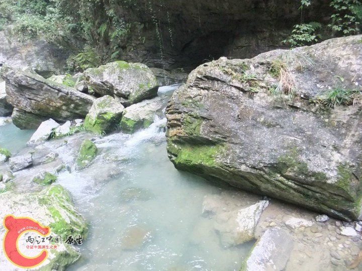 large_az4G_0c850002e3481191.jpg
