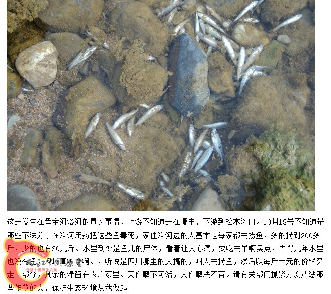 QQ截图20121020175314.jpg