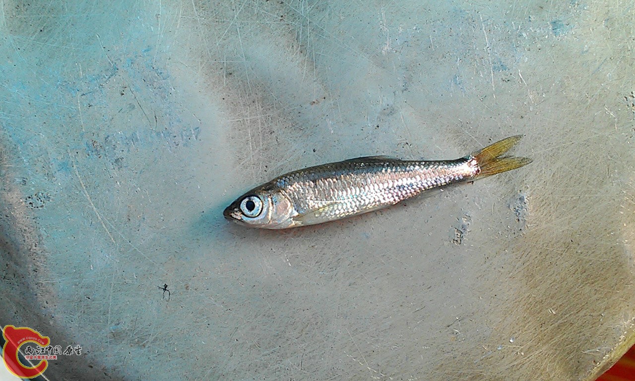 IMAG2108.jpg