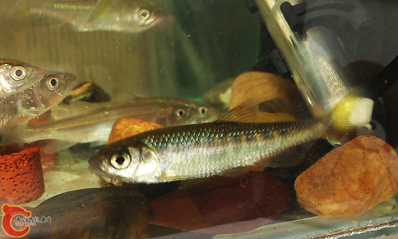IMAG2111.jpg