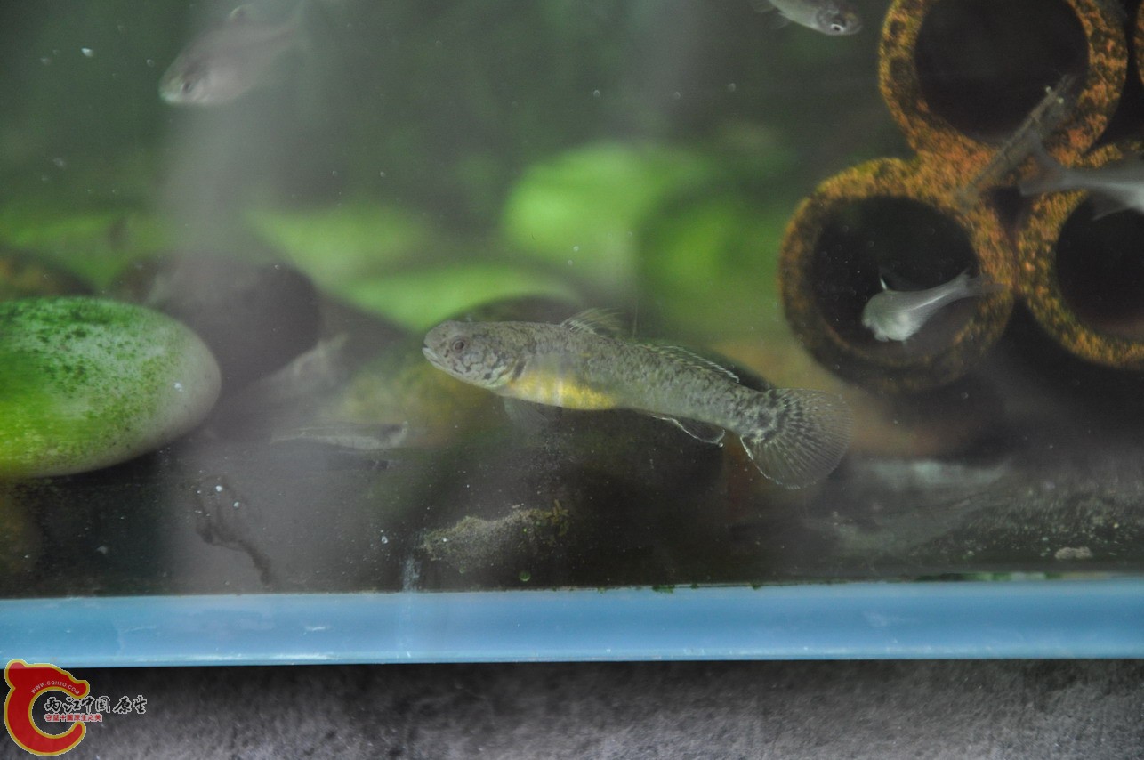 DSC_0047_缩小大小.JPG