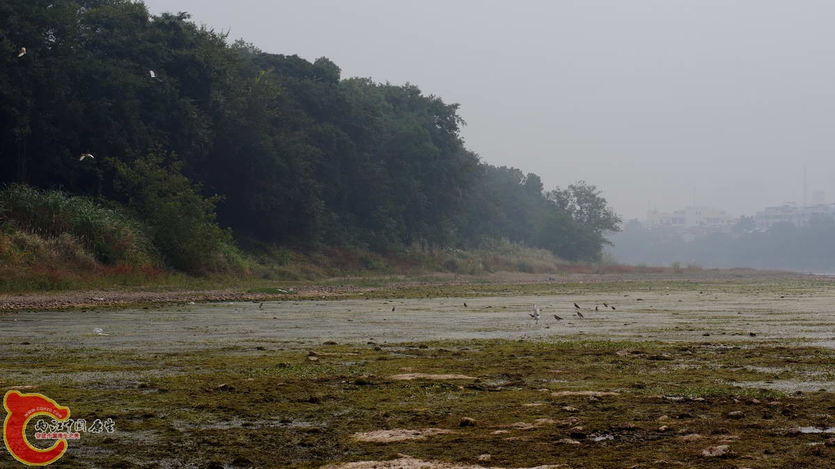 DSC07213.JPG