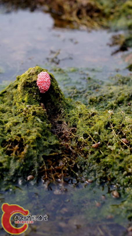 DSC07302.JPG