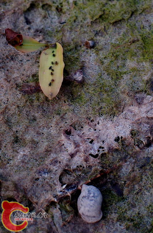 DSC07305.JPG