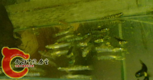 QQ截图20121022142854.png