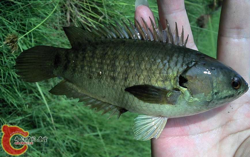2012-08-25_08-33-35_995.jpg