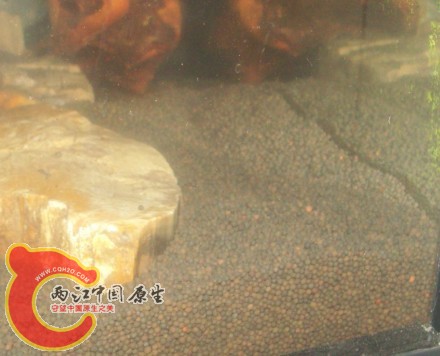 细陶粒.jpg