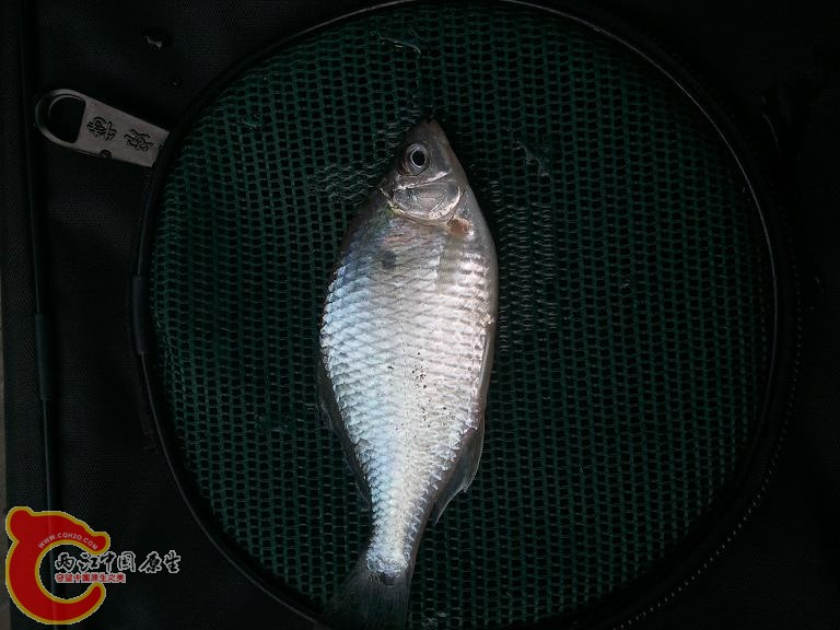 2012-10-14 15.42.55.jpg