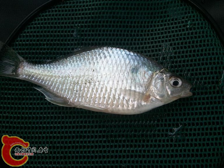 2012-10-14 15.43.05.jpg