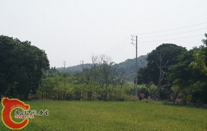 DSC05827.JPG