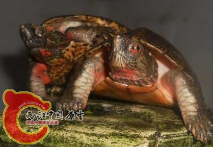 搜狗截图121024_4.jpg