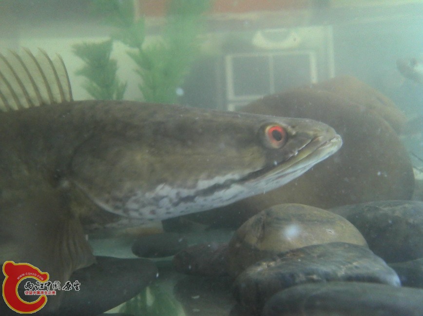 2012-10-21_14-02-29_0.jpg