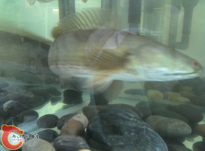 2012-10-21_13-58-52_929.jpg