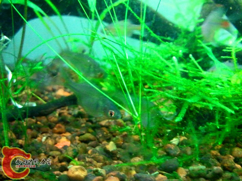 2012-10-25 23.28.59_副本.jpg