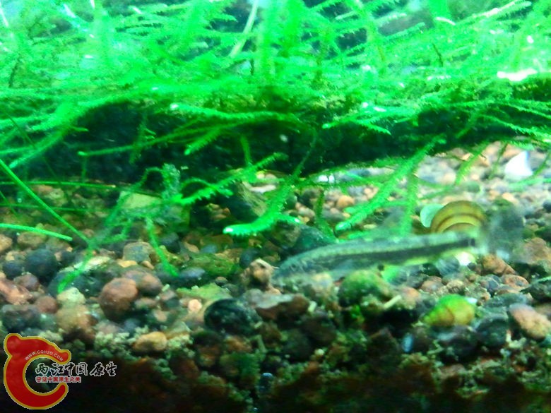 2012-10-25 23.29.07_副本.jpg