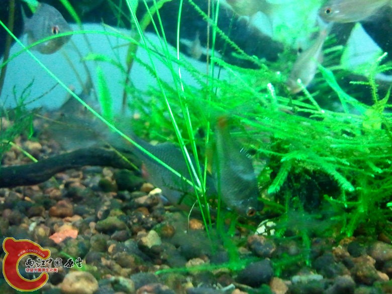 2012-10-25 23.29.31_副本.jpg