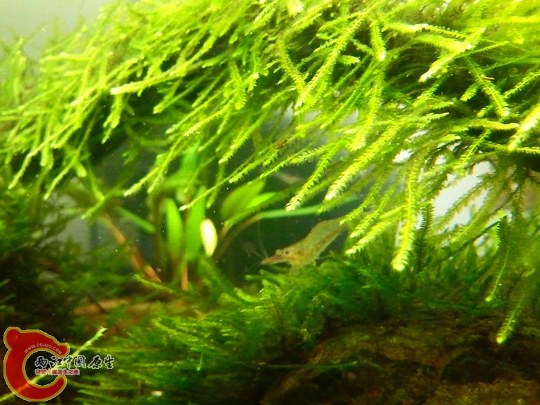 2012-10-25 23.30.26_副本.jpg