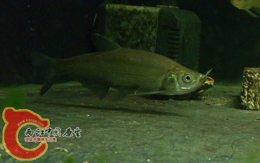 DSC_0792_副本.jpg