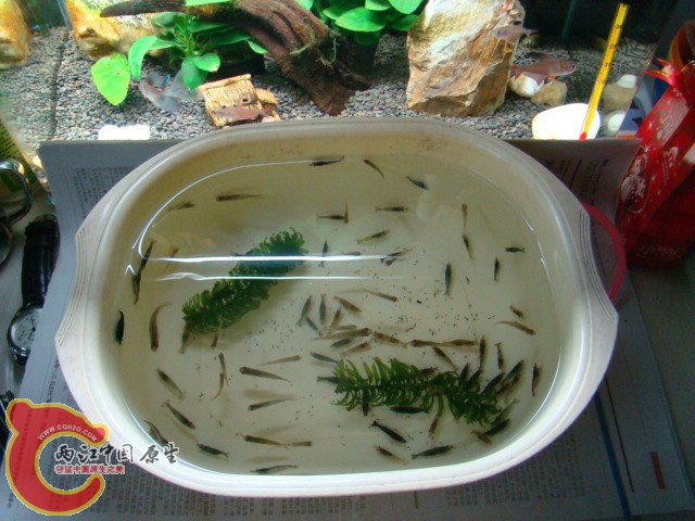 DSC07257.JPG