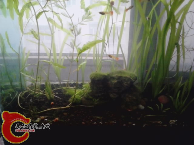 P261012_07.10.jpg