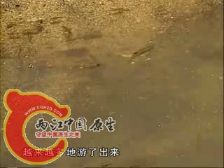 QIYI_20121026233245.jpg