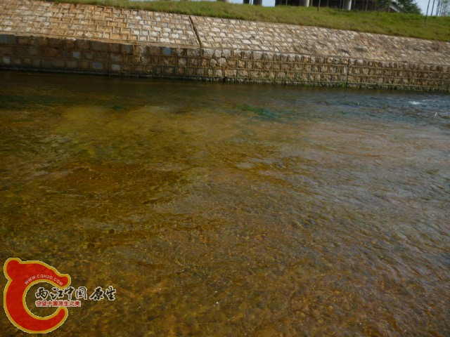 P1090929.JPG