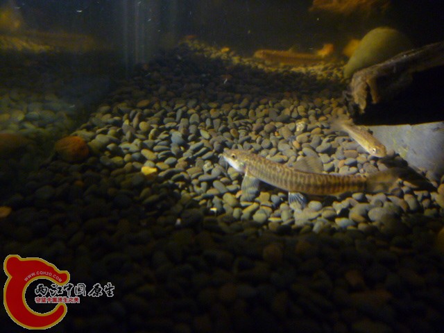 P1090961.JPG