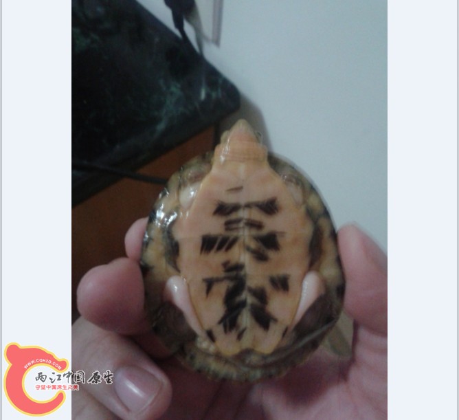 }BDL~F$7}4JWBF]25[WA.jpg