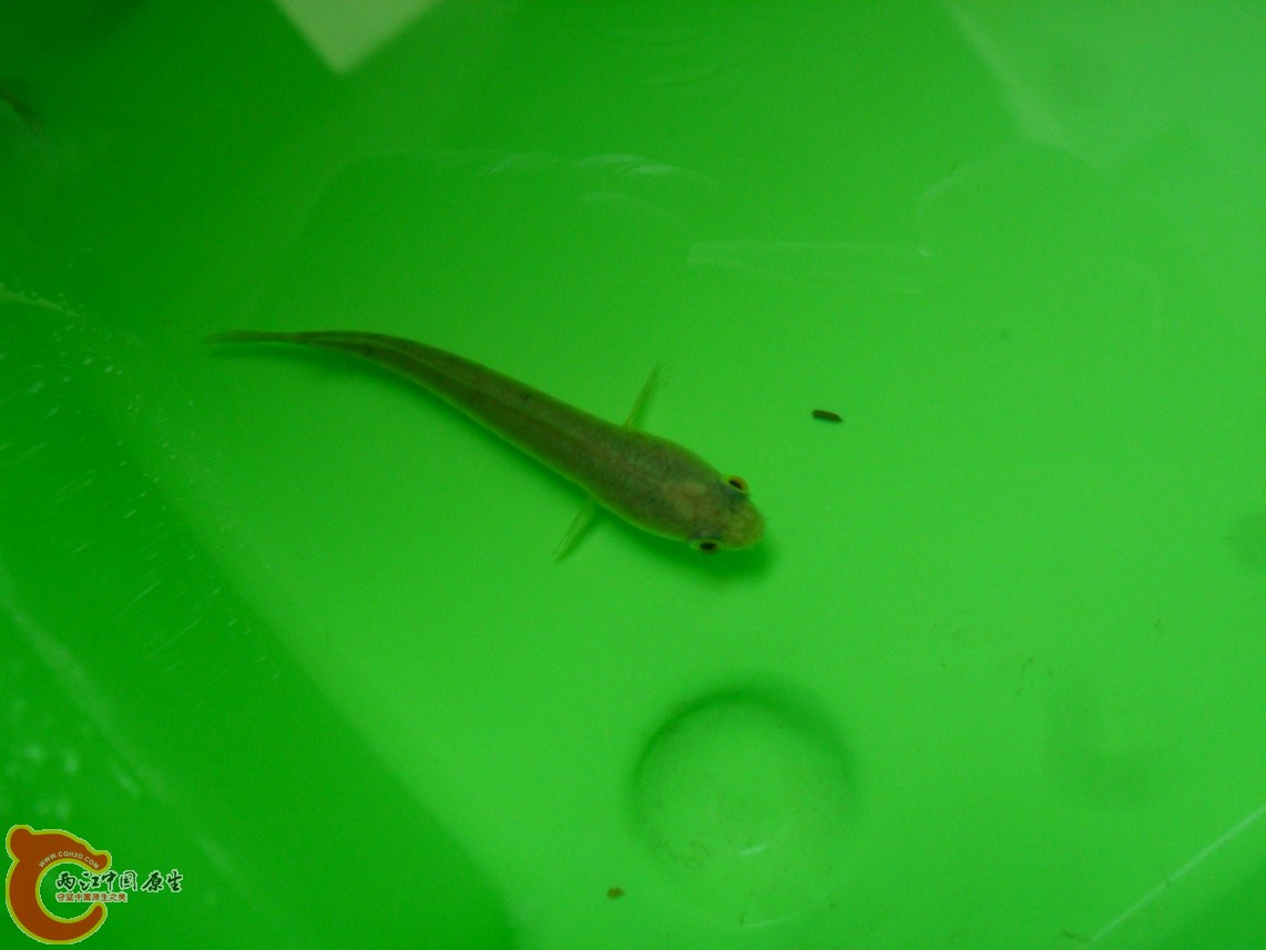 121028-006.JPG 121028-006.JPG