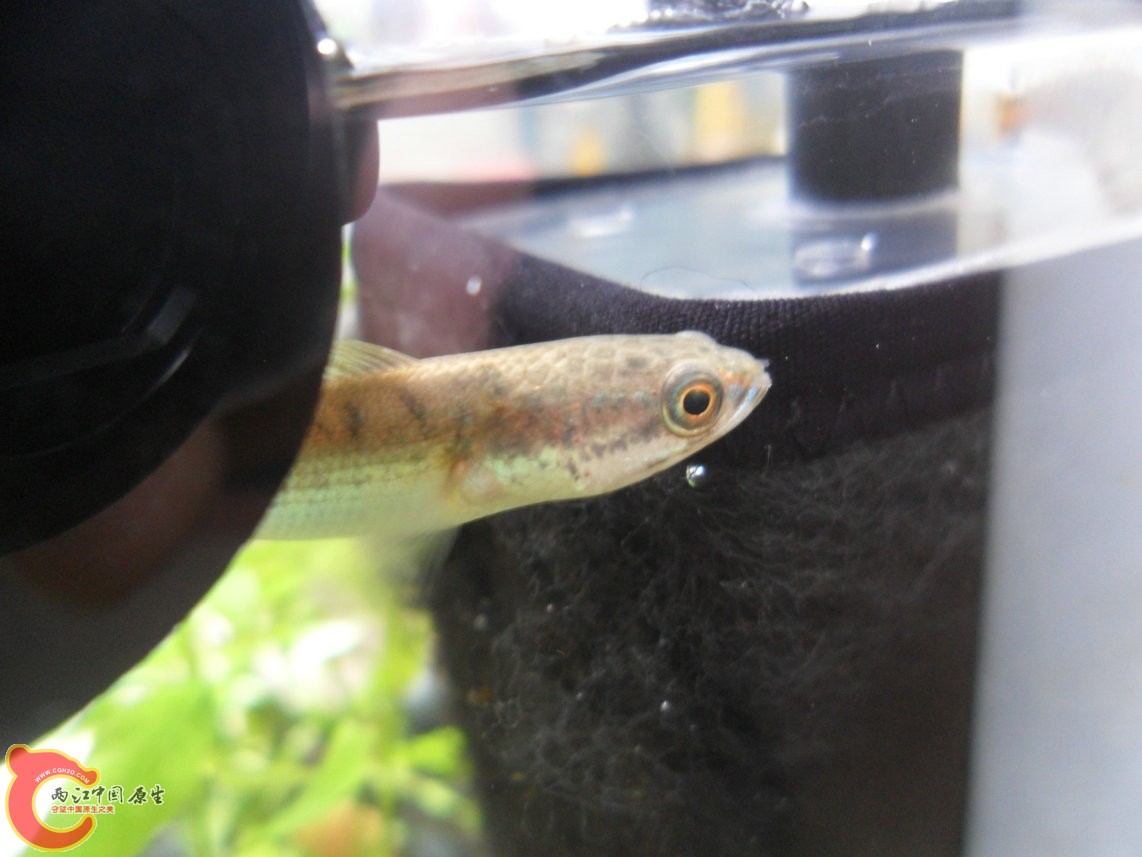 121028-015.JPG 121028-015.JPG