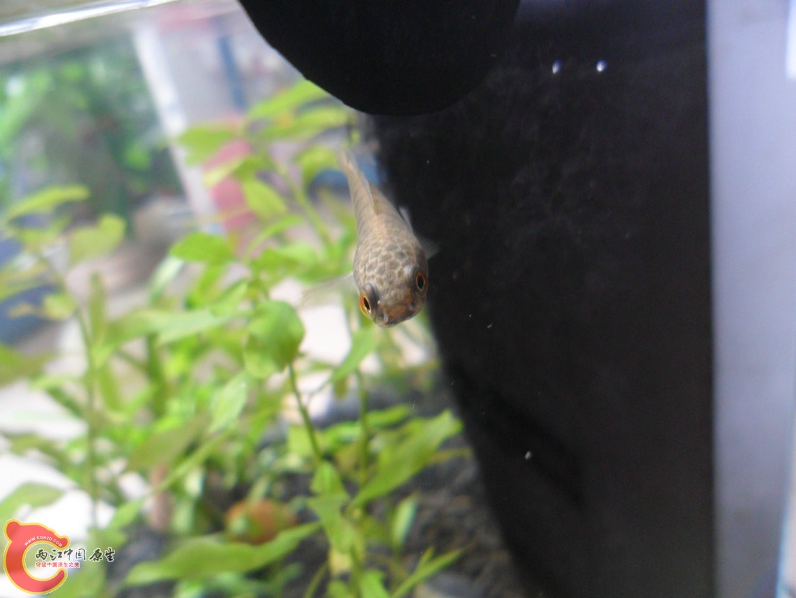 121028-016.JPG 121028-016.JPG