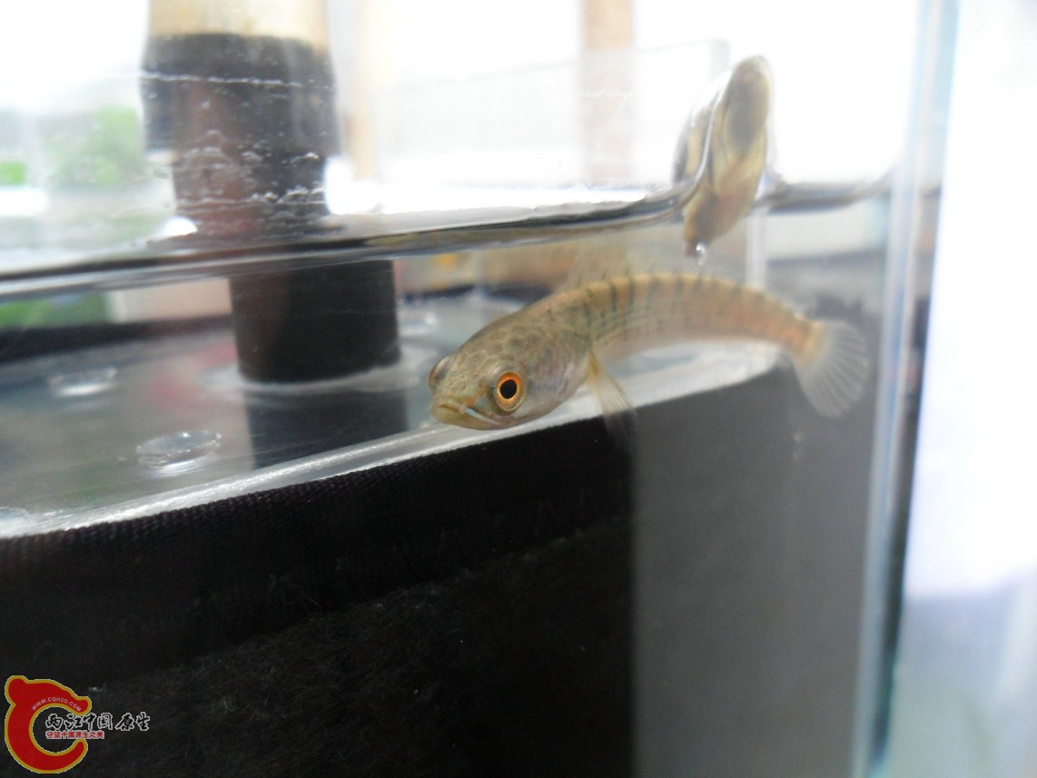 121028-017.JPG 121028-017.JPG