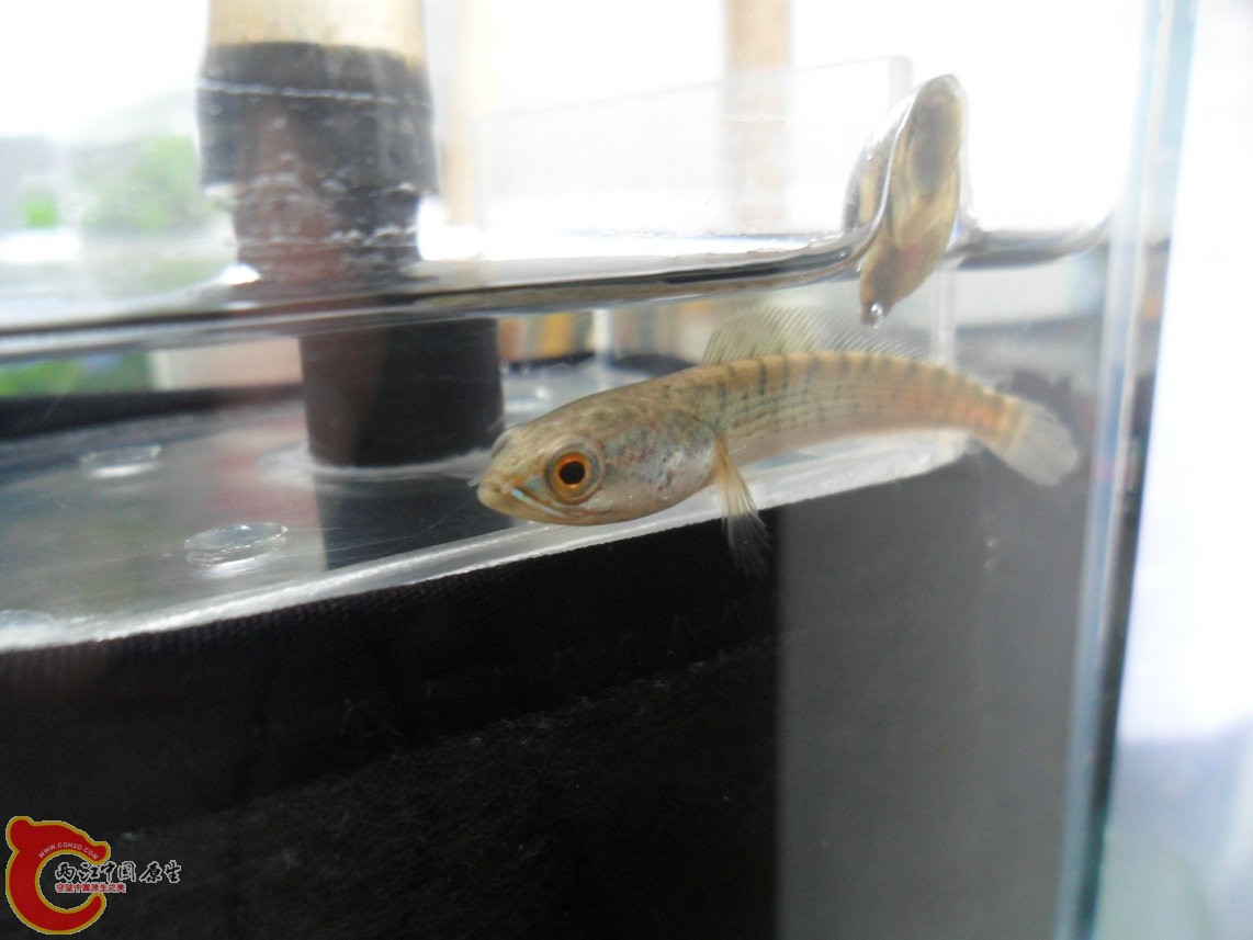 121028-018.JPG 121028-018.JPG