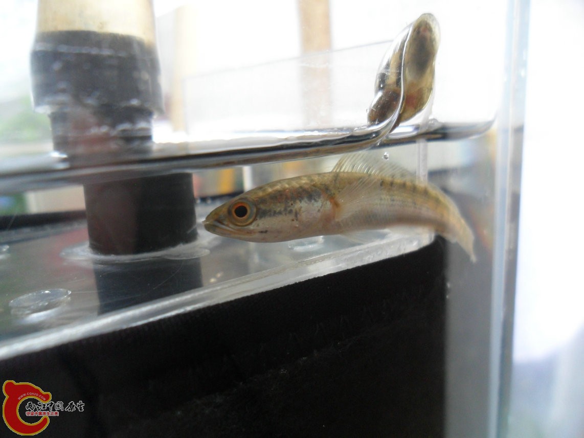 121028-019.JPG 121028-019.JPG