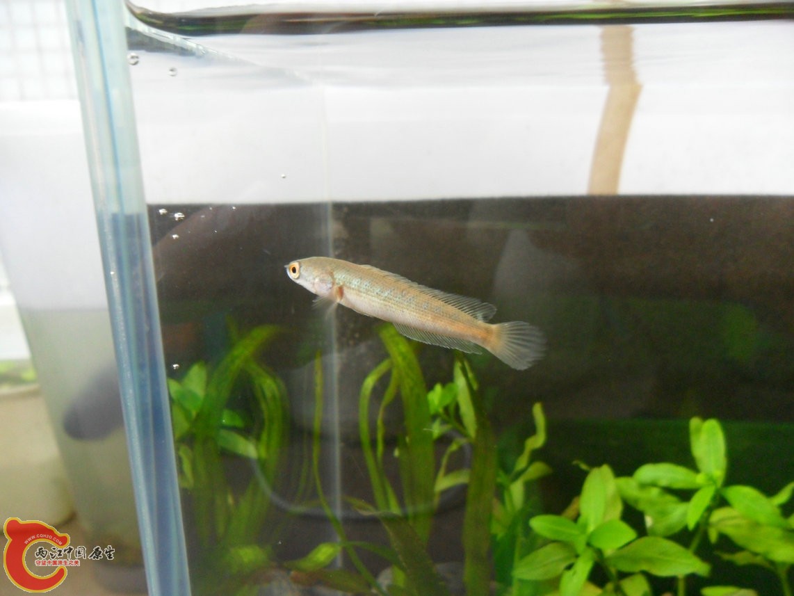 121028-020.JPG 121028-020.JPG