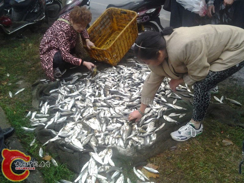 2012-10-24 11.07.17_编辑.jpg