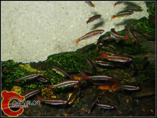 照片 133.jpg